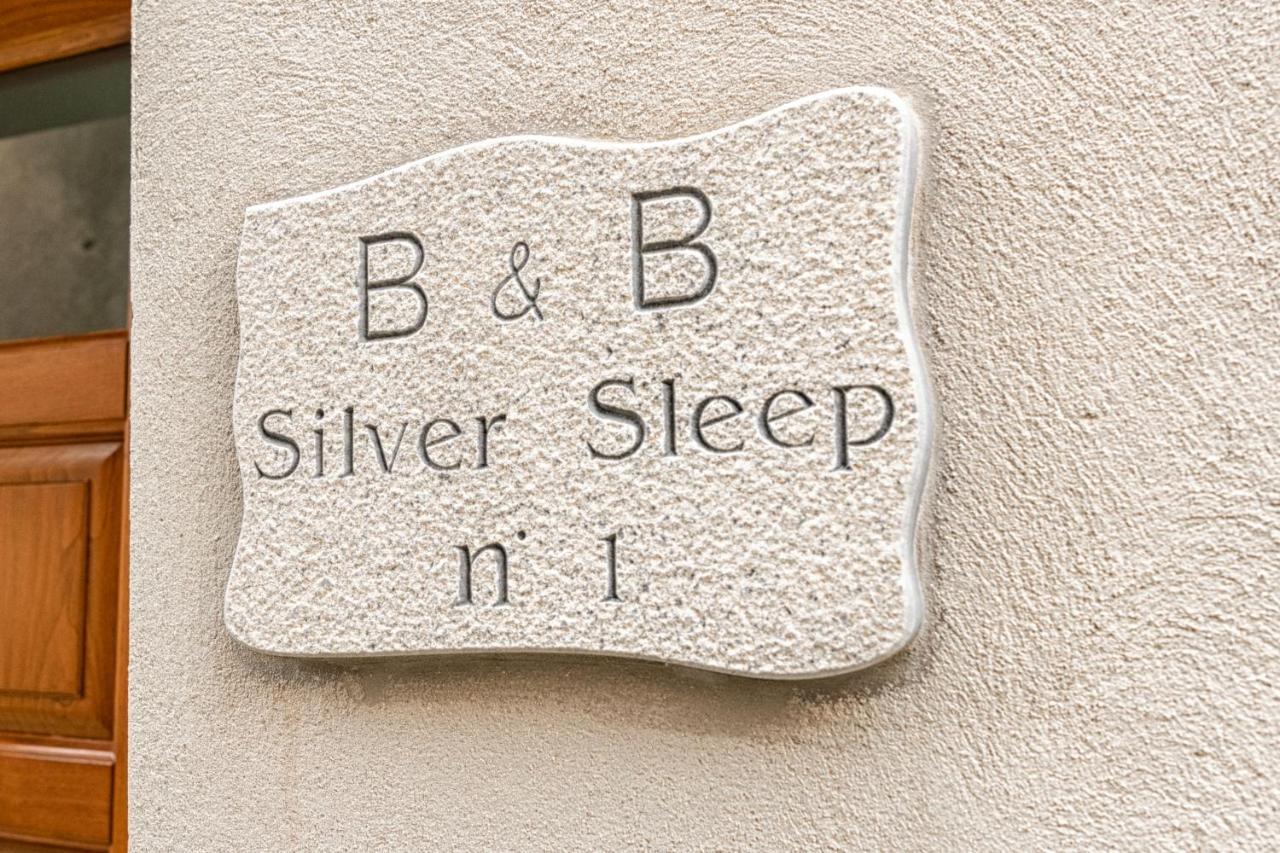 B&B Silver Sleep Papasidero Exterior foto